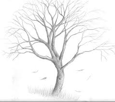 Black And White Pencil Drawings Of Trees Http Fc01 Deviantart Net Fs21 I 2007 254 4 C Tree By Clay Mation Jpg Baume Zeichnen Grossartige Zeichnungen Baumkunst