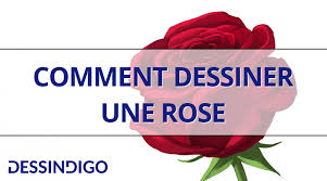 Source my who to draw ici. Comment Dessiner Une Rose Dessindigo