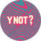 Y Not Festival 2026 event image