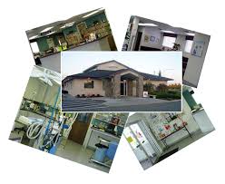 Our veterinary health care team is committed to providing exceptional client service while practicing high quality veterinary medicine. Home Kennewick Wa