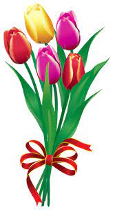 Spring Tulips Bouquet Png Clipart Picture Flower Phone Wallpaper Flower Clipart Flower Art