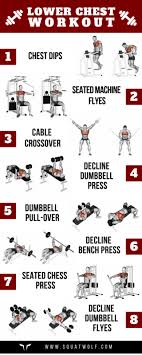 8 Lower Chest Workouts For Defined Pecs Squat Wolf