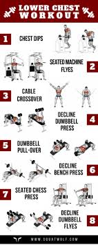 8 lower chest workouts for defined pecs squat wolf