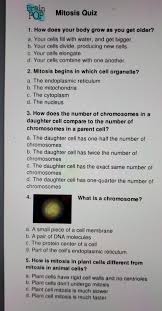 Is a animal cell or plant cell bigger. Prop Mitosis Quiz 1 How Does Your Body Grow As You Chegg Com