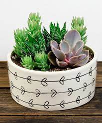 Sepulvada garden center, 16633 magnolia blvd, northridge, ca, meeting time: Fill Your Home With Glamorous Simple Diy Succulent Arrangements Homesthetics Inspiring Ideas For Your Home Succulents Diy Cactus Arrangement Succulents