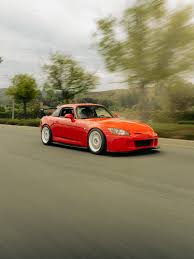 Image result for Citrus Yellow 2004 A4