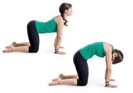 The cat pose (marjaryasana) in yoga stretches and strengthens your spine to help improve your posture and balance. The Cat Cow Pose How To Perform Benefits Yoga Classes In Bandra