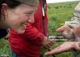 111 Stevens Ranch Photos & High Res Pictures