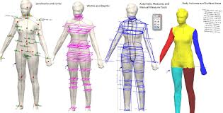 Automatic And Manual Body Measurement In 3d From 3d Body Scans
