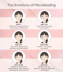 Big Feels How To Manage The Emotions Of Microblading Mayu