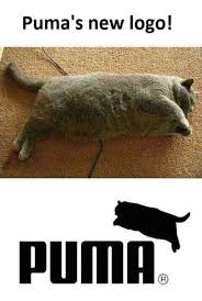 Meme Dump Funny Black Memes Cat Memes Funny Pictures