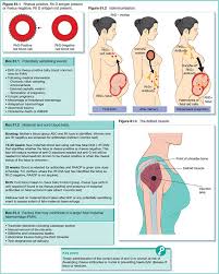 rh positive mother and rh negative baby blood type chart