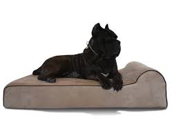 This is understandable owing to the need to accommodate the sheer massive size and awesome weight. Where To Buy The Best Giant Dog Bed For Great Dane Dogs Alpha Pets Uk
