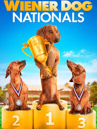 The dachshund is a loyal companion and good with children, but because of its long back, dachshunds are prone to disk problems. Wiener Dog Nationals 2013 Rotten Tomatoes