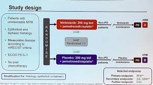 Your family's life will never be the same. Anna Nowak On Twitter Wclc2016 Mesothelioma Lume Meso Study Chemo Plus Nintedanib Good Reason To Complete The Current Phase 3 Trial Nice Pfs And Responses Https T Co Ptcu9fsbgx Twitter