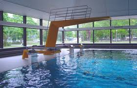 From halle (hall) +‎ bad (baths). Hallenbad Rheinstetten De