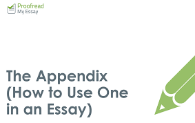 The Appendix How And When To Use One In An Essay