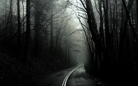 We did not find results for: Black And White Trees Dark Forest Roads Monochrome 1920x1200 Wallpaper 1920x1200 1096556 Wallpaperup