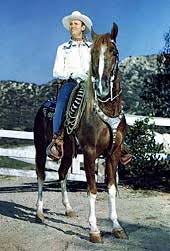 images?q=tbn:ANd9GcQu5AgdykXMdHQ2A3BLh_g