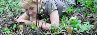 Endemic plants are those species that evolved in isolation on the hawaiian islands and are found nowhere else. How Food Foragers Make 300 An Hour Digging In The Dirt Marketwatch