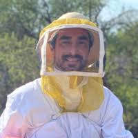 3 Ways to Avoid Bee or Wasp Stings