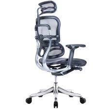 New Ergohuman Plus Elite V2 Mesh Office Chair Milan Direct Office Chairs Ebay
