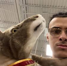 We've received some very upsetting videos of a man in Memphis, Tennessee,  brutally beating his dog, allegedly for eating a piece of his pizza. The  footage shows a defenseless dog—bleeding and crying