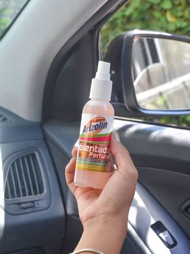 🚗 Un buen aroma también hace la diferencia en cada trayecto. Mantén tu  vehículo con una sensación de frescura que te acompañe en cada viaje con el  Ambientador Perfumado Arizolin. #Arizolin #Ambientador #