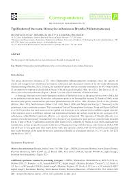 Image result for Memecylon torrei