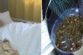 Gejala batu empedu baru dapat dirasakan ketika gumpalan batu empedu menyumbat saluran empedu atau saluran pencernaan lainnya. Ribuan Batu Empedu Ditemukan Di Perut Wanita Asal China Karena Sepelekan Sarapan Dan Pola Makan Sehat Semua Halaman Bolastylo Bolasport Com