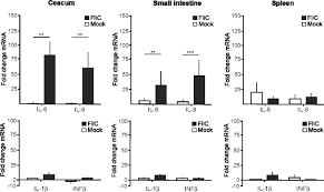 Bekijk het profiel van noor hanna op linkedin, de grootste professionele community ter wereld. Chicken Immune Response Following In Ovo Delivery Of Bacterial Flagellin Sciencedirect