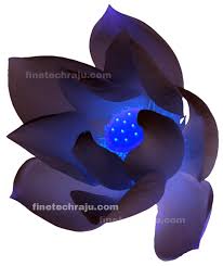 We did not find results for: Single Flower Png Image Black Colour And Blue Light Finetechraju Com