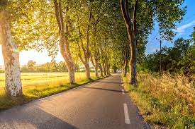 20 Road Backgrounds Hq Download Free Images On Unsplash Quality wallpaper with a preview on: 20 road backgrounds hq download