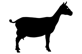 Download Goat Silhouette Graphic By Idrawsilhouettes Creative Fabrica PSD Mockup Templates