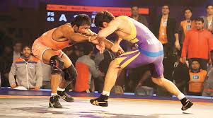 Indian Wrestling League (IWL)
