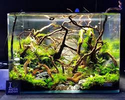 Baik kolam ikan hias yang ada didalam rumah atau diluar rumah. 26 Ide Aquarium Ikan Hias Aquarium Ikan Perhiasan Minimalis Aquarium