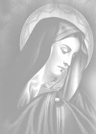 26401 ST. JOSAPHAT DRIVE • WARREN, MI 48091 VOL. 55