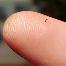 See full list on wikihow.com I Got A Splinter On My Finger From Scratching My Beard Mildlyinteresting