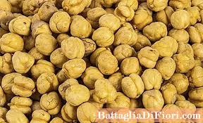 Boil (a) in a pot and cook until kacang kuda is tender. Ciri Ciri Perihalan Varietas Varietas Kacang Buncis Hitam Coklat Kuning Putih Merah Foto Berkebun 2021