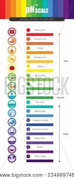 Ph Scale Universal Vector Photo Free Trial Bigstock