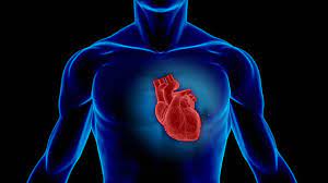 Start studying miocardites e miocardiopatias. Coronavirus Un Giorno Tanti Pazienti Potrebbero Conservare Nel Loro Cuore I Segni Postumi Della Pandemia Open