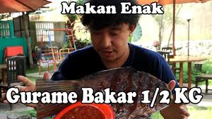 Campur ikan dengan bumbu halus. Makan Banyak Ikan Bakar Gurame Besar Cuman 40rb Besar Enak Asiiikk 2 Youtube