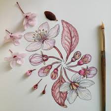 Un libro da colorare per adulti con una collezione di fiori, disegni di fiori per rilassarsi, con bellissimi motivi floreali che alleviano lo stress, corone, bouquet, turbinii, rose, decorazioni e molto altro by happy coloring and millions of other books available at barnes & noble. 1001 Idee Per Fiori Da Colorare Per Bambini E Adulti