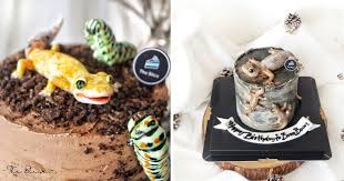 Gambar objek atau benda nyata seperti foto. Omg I Hope My Friends Don T Order This For Me Terus Pengsan Kek Dekorasi Cicak Jadi Viral Remaja