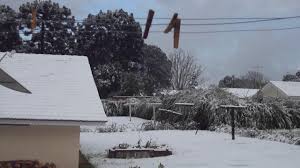 Escrito por rafael boro atualizado em 17 de setembro de 2020 26 comentários. Neve Em Santa Catarina Tres Barras Brasil Julho De 2013 Video 1 Youtube