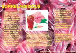 Pin On Herbs And Healing