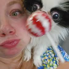 My sweet English Springer Spaniel Jackson Browne lost his battle with  lymphoma yesterday. He fought hard and was such a trooper. He did great  with chemo for almost 9-months, which we chose