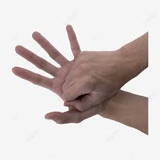 Mulai dari tahi lalat, tanda lahir, hingga pada garis tangan. Gambar Pegang Kepalan Tangan Anda Di Tangan Kanan Dan Letakkan Di Telapak Tangan Kiri Anda Tangan Kanan Memegang Telapak Tangan Png Transparan Dan Clipart Untuk Unduhan Gratis