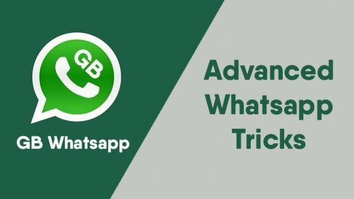 Aplikasi GB WhatsApp
