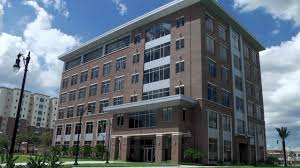 Four Year Bsn University Of Tampa